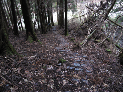 20161216hike (378)